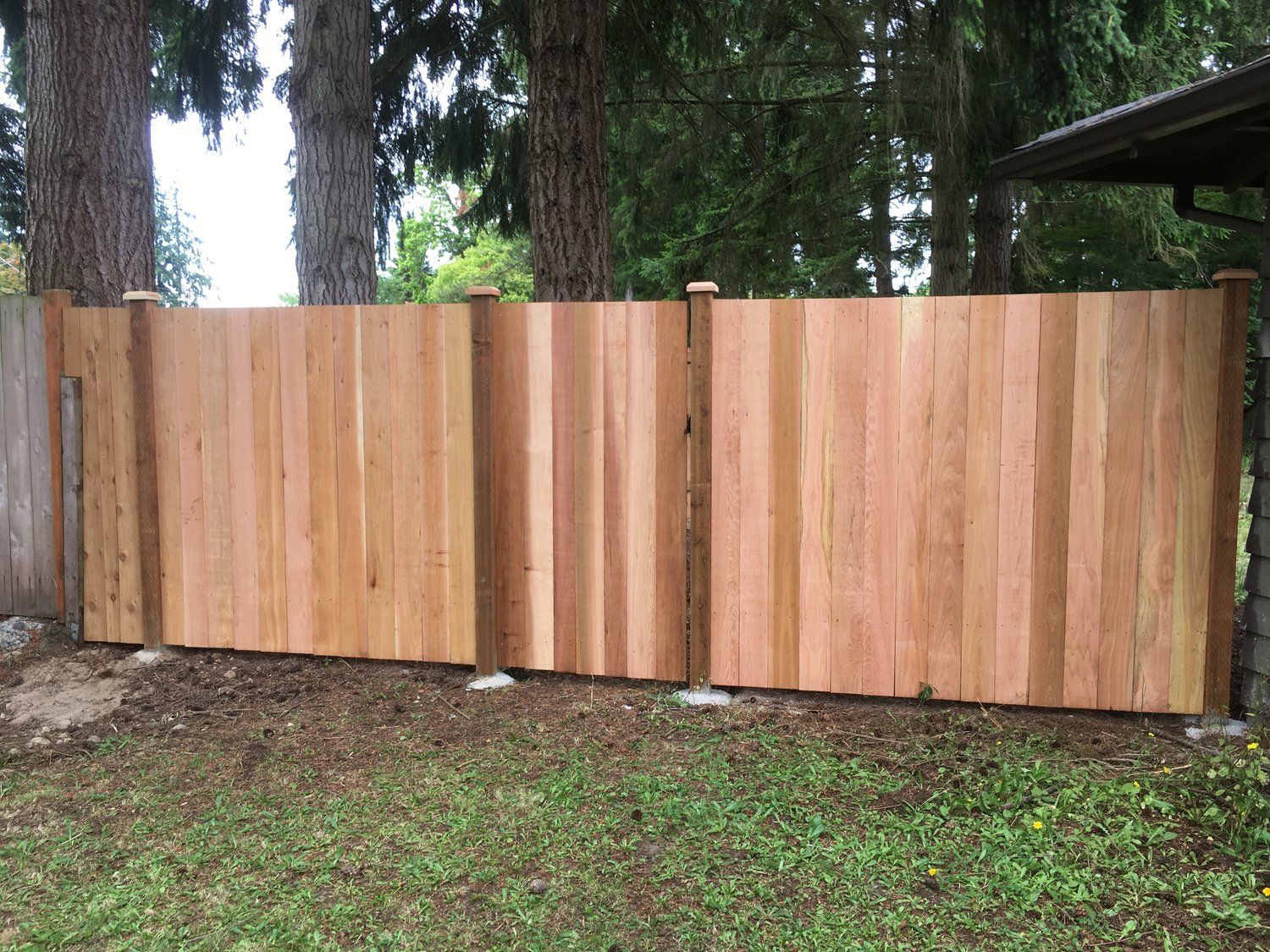 Cedar wood estate style fence in yard