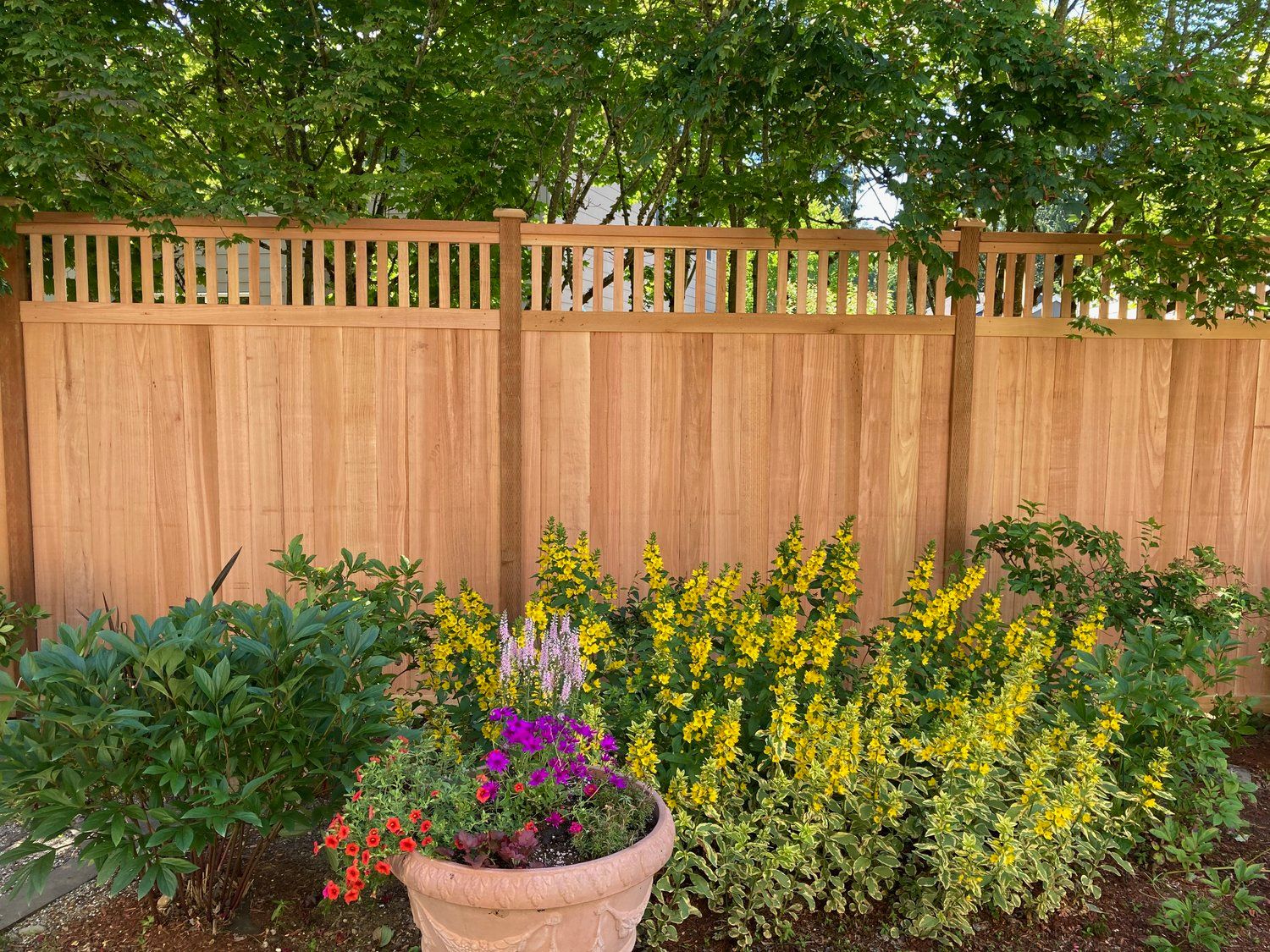 City of Snohomish residential wood fence with window-top design