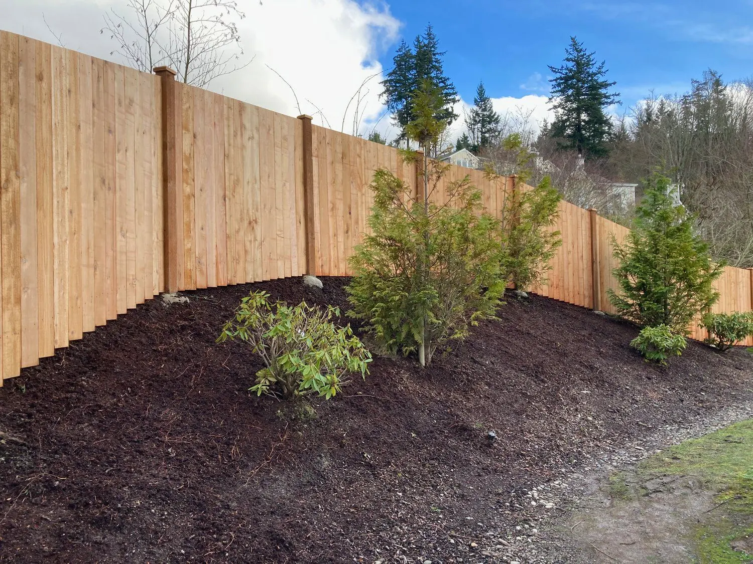 Cedar wood estate style fence with shrubs in front