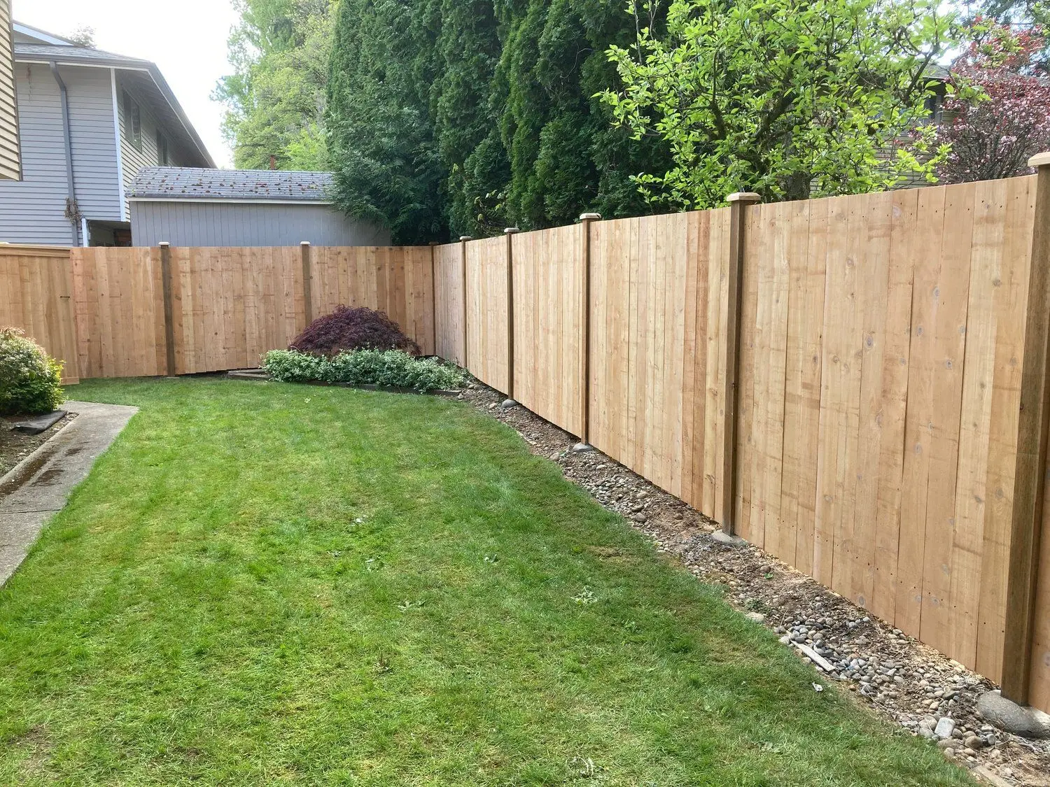 Cedar wood estate style fence surrounding large backyard