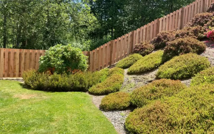 Backyard with privacy fence running up slope with shrubs