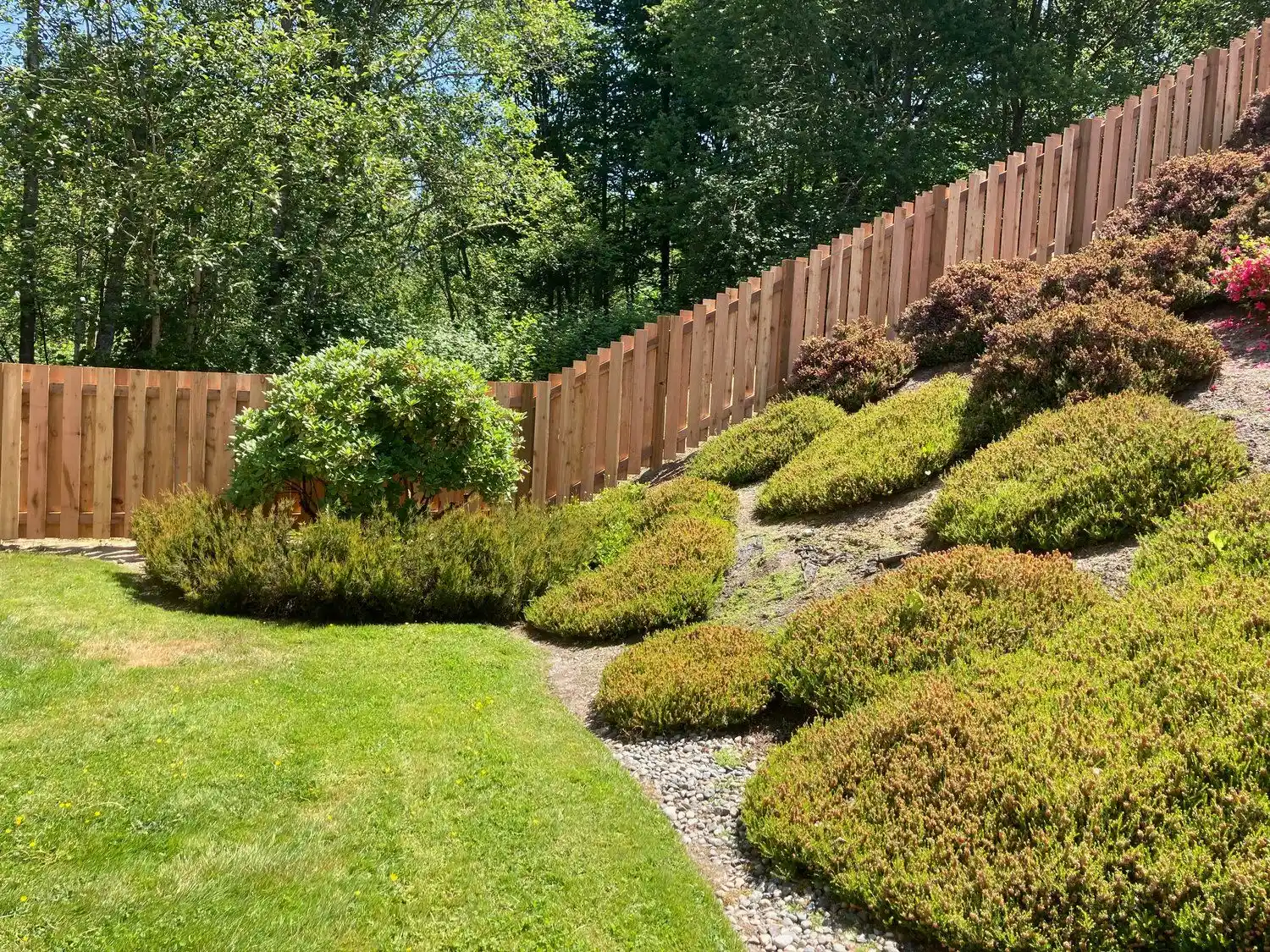 Backyard with privacy fence running up slope with shrubs